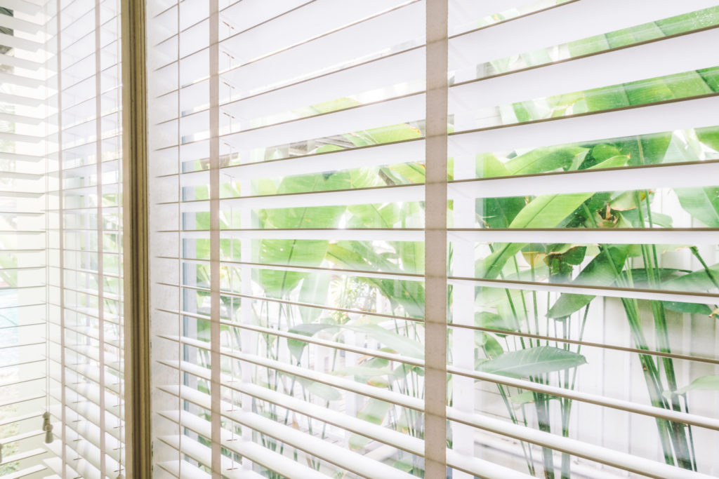 Window Blinds with green plants behind